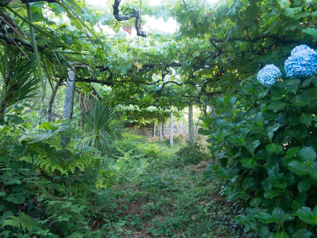 Quinta Das Leiras Санту-Тирсу Экстерьер фото