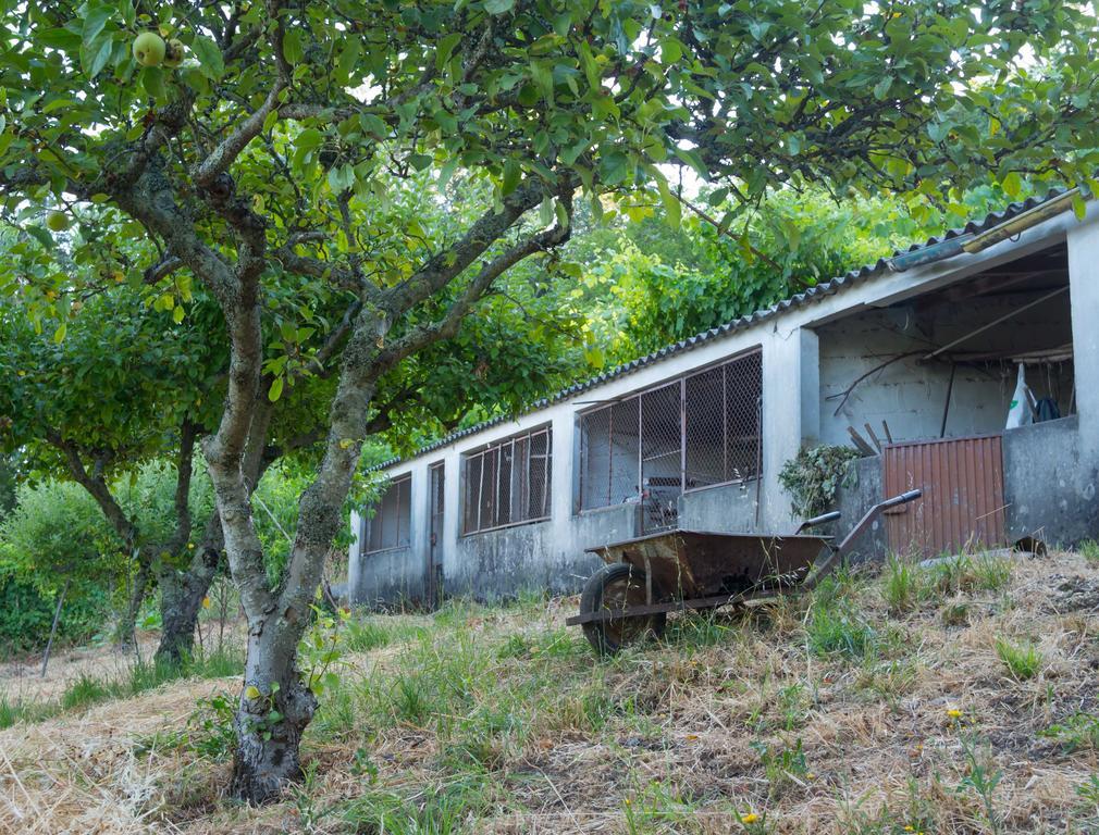 Quinta Das Leiras Санту-Тирсу Экстерьер фото