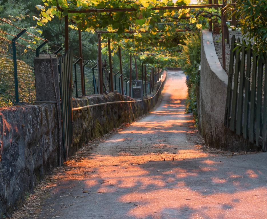 Quinta Das Leiras Санту-Тирсу Экстерьер фото