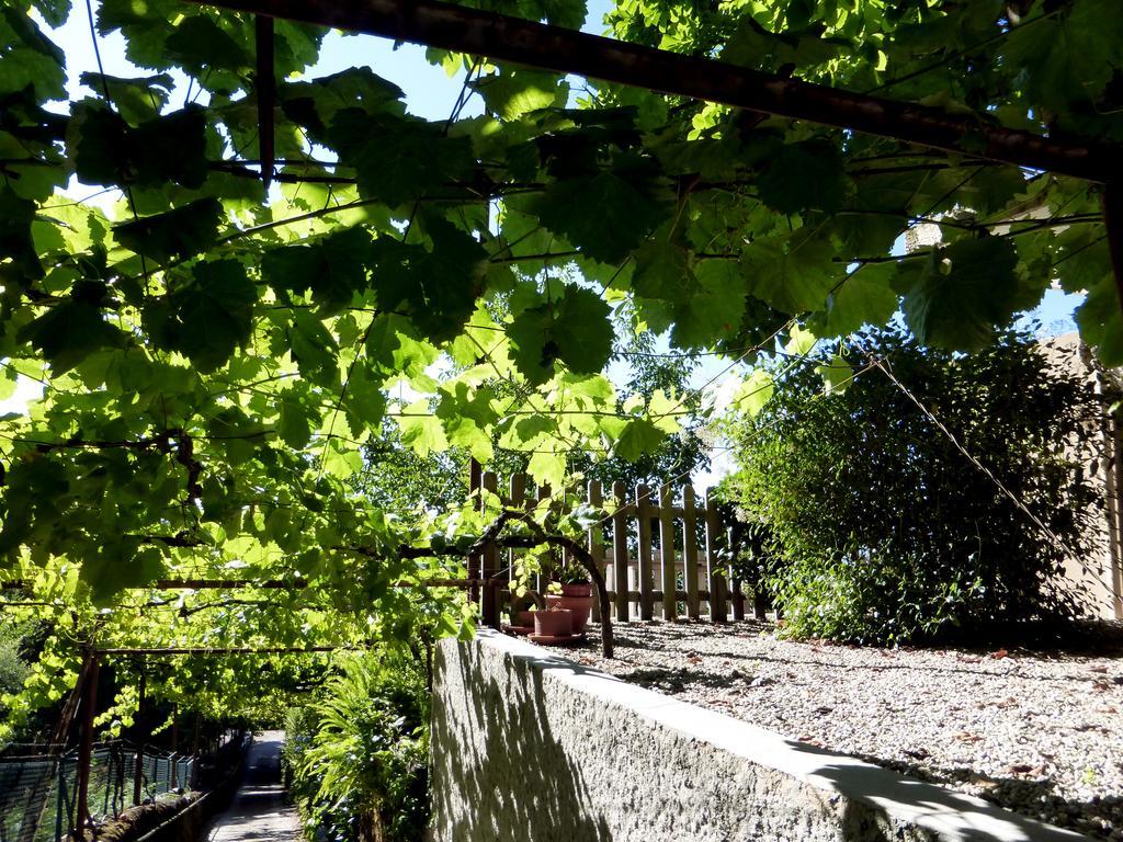 Quinta Das Leiras Санту-Тирсу Экстерьер фото
